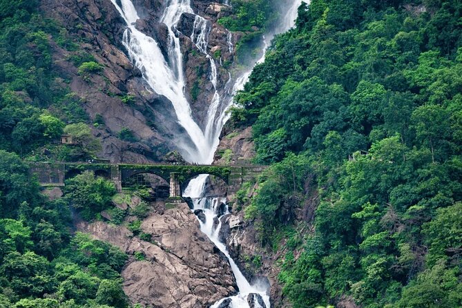 Dudhsagar: Waterfall & Jeep Safari Day Trip